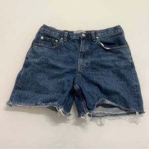 Everlane The Denim Short